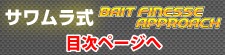 サワムラ式ベイトフィネスアプローチトップへ